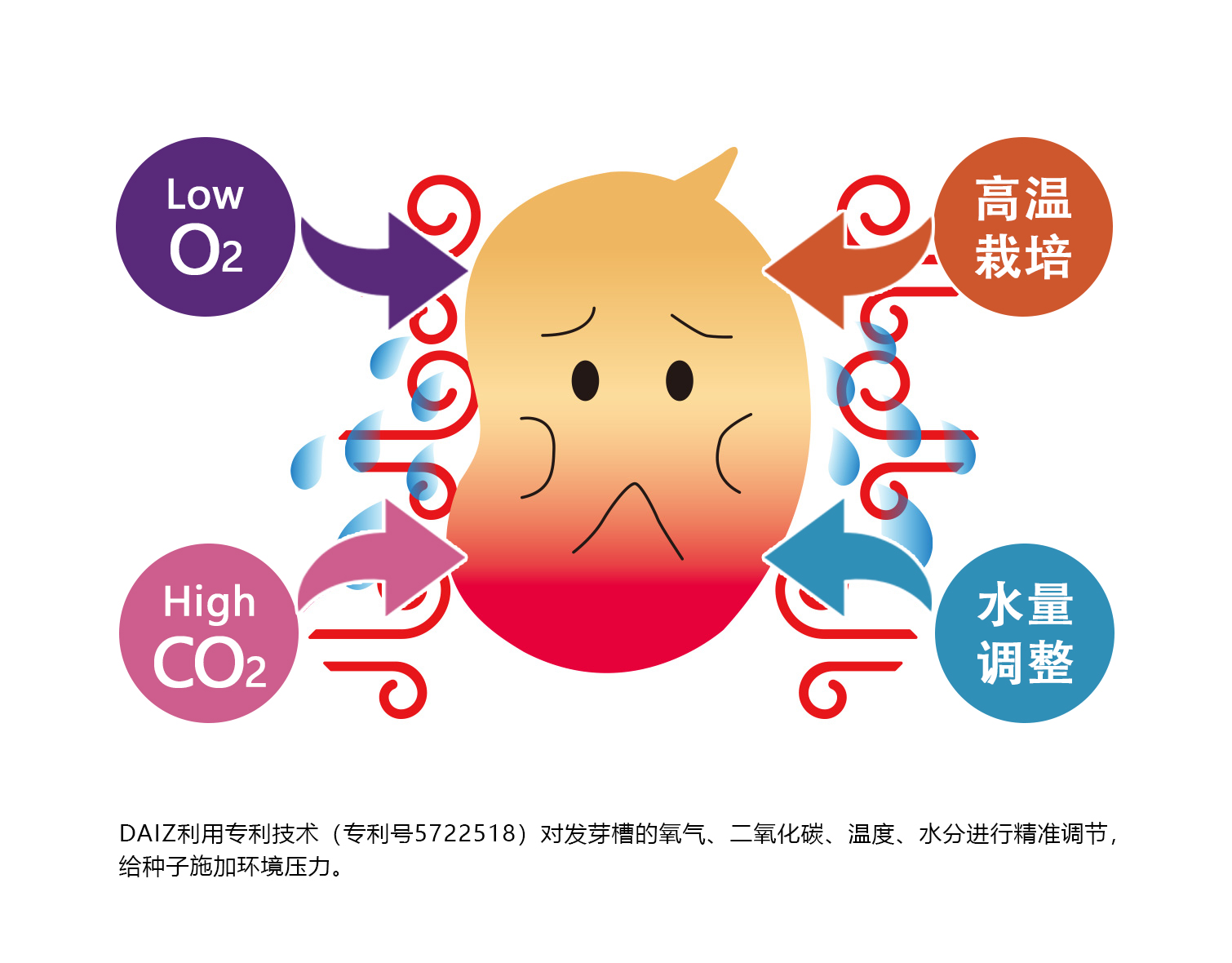 DAIZ利用专利技术（专利号5722518）对发芽槽的氧气、二氧化碳、温度、水分进行精准调节，给种子施加环境压力。