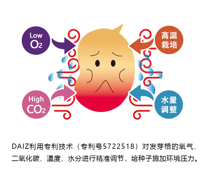 DAIZ利用专利技术（专利号5722518）对发芽槽的氧气、二氧化碳、温度、水分进行精准调节，给种子施加环境压力。