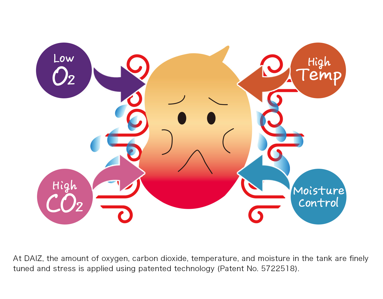 At DAIZ, the amount of oxygen, carbon dioxide, temperature, and moisture in the tank are finely tuned and stress is applied using patented technology (Patent No. 5722518).