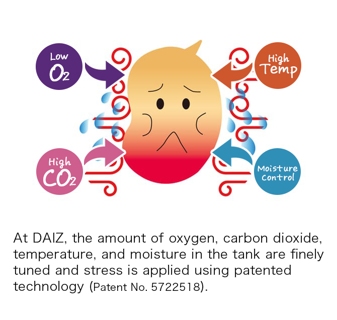 At DAIZ, the amount of oxygen, carbon dioxide, temperature, and moisture in the tank are finely tuned and stress is applied using patented technology (Patent No. 5722518).